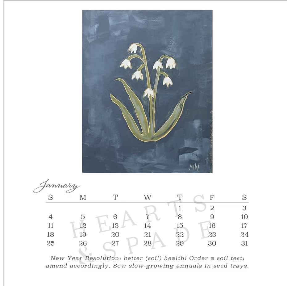 Screenshot 2025-12-16 at 10.41.46 AM.png