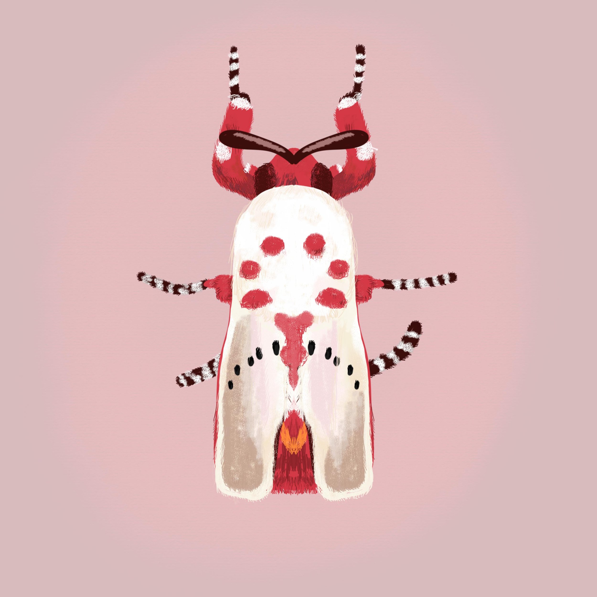 red bug5.jpg