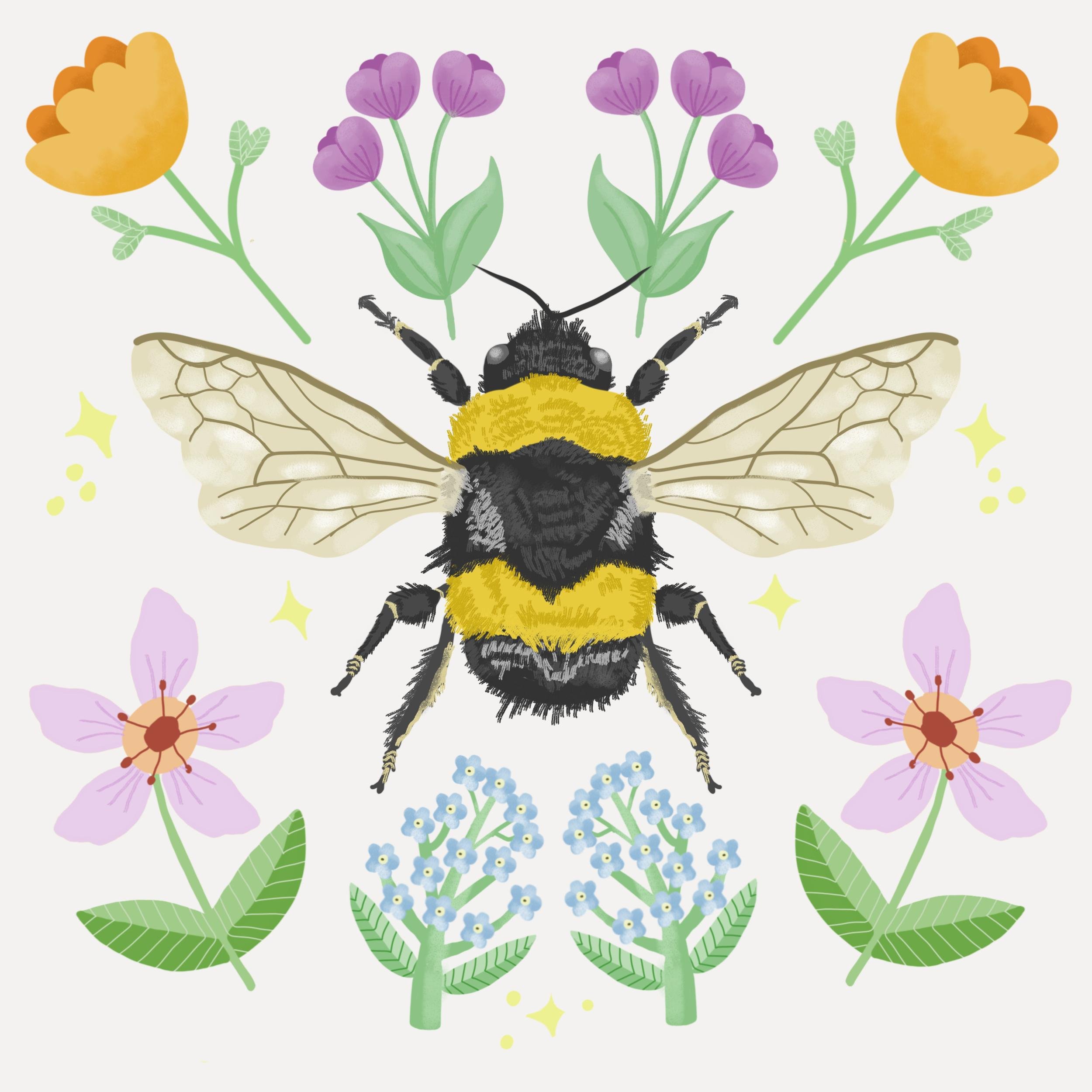 bee.jpg