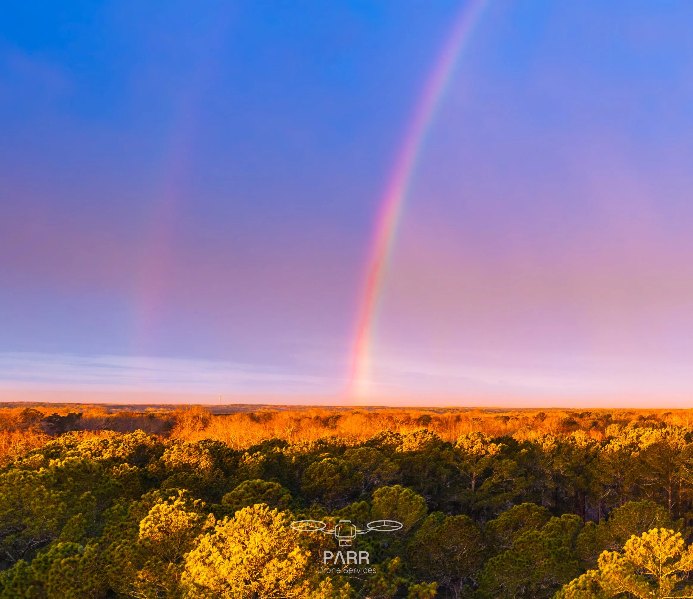 View of a colorful rainbow over a landscape with trees, under a pastel-colored sky.