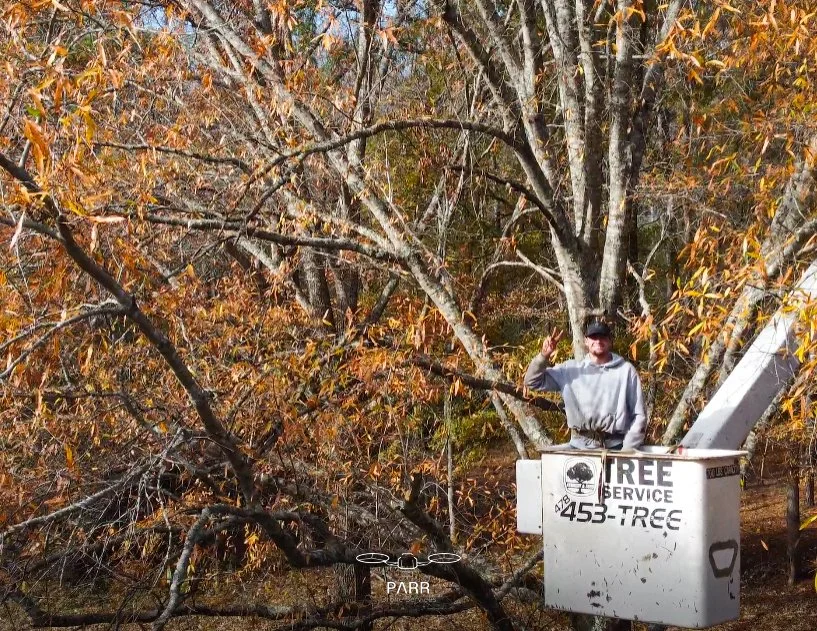 A man in a bucket lift truck next to a tree with many autumn-colored leaves, waving at the camera.