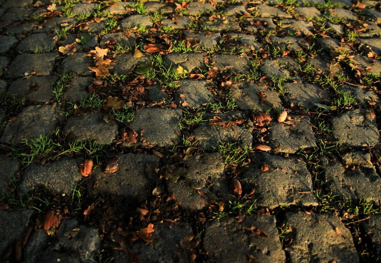 De hel van het zuiden | kasseistroken Breda