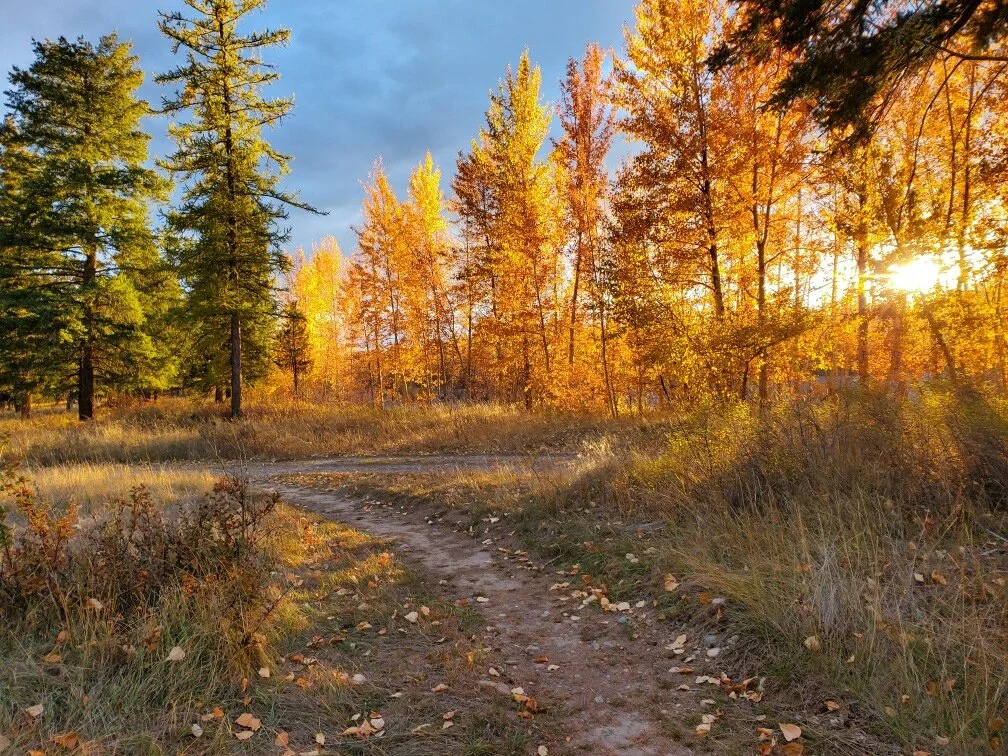 Copy of imagejpeg_0.JPG