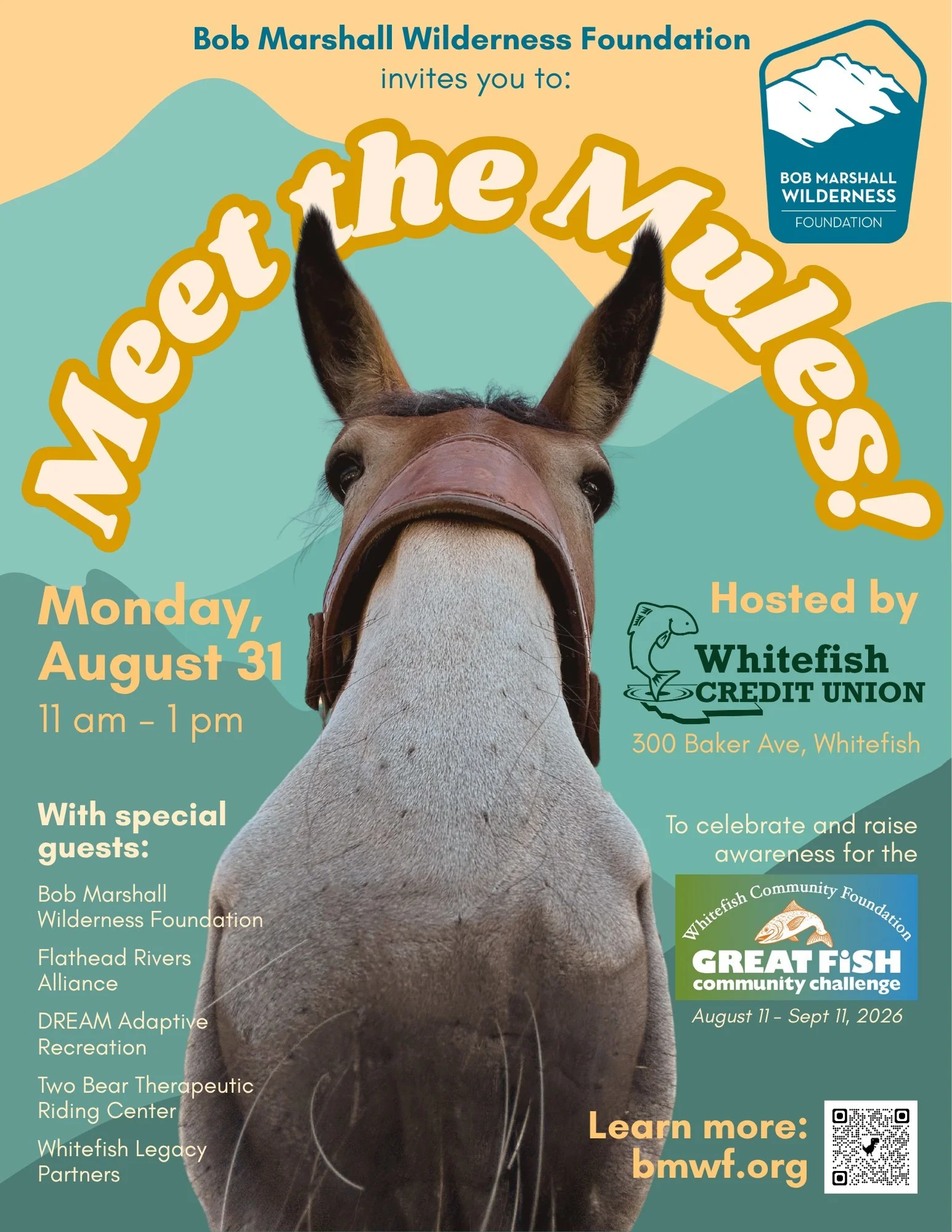 Meet the Mules with BMWF