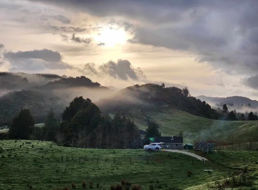 Screenshot 2026-02-11 131519.jpg