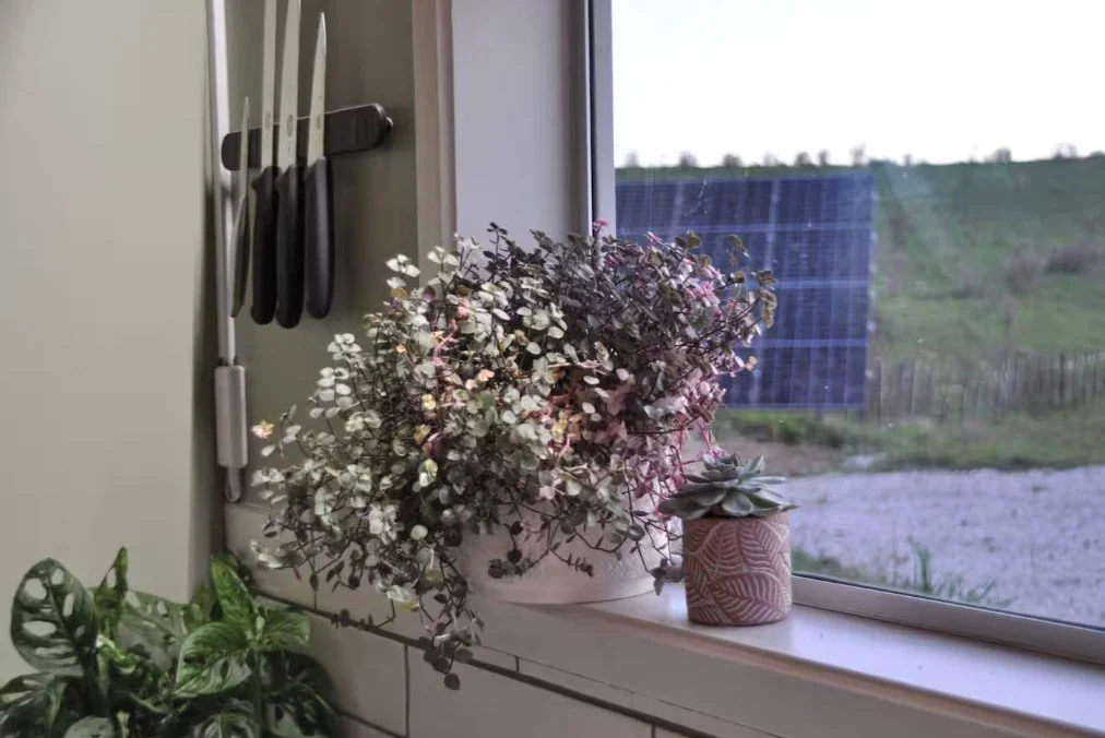 Screenshot 2026-02-11 131555.jpg