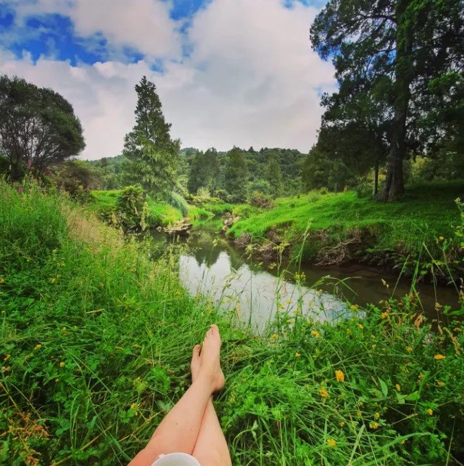 Screenshot 2026-02-11 131828.jpg