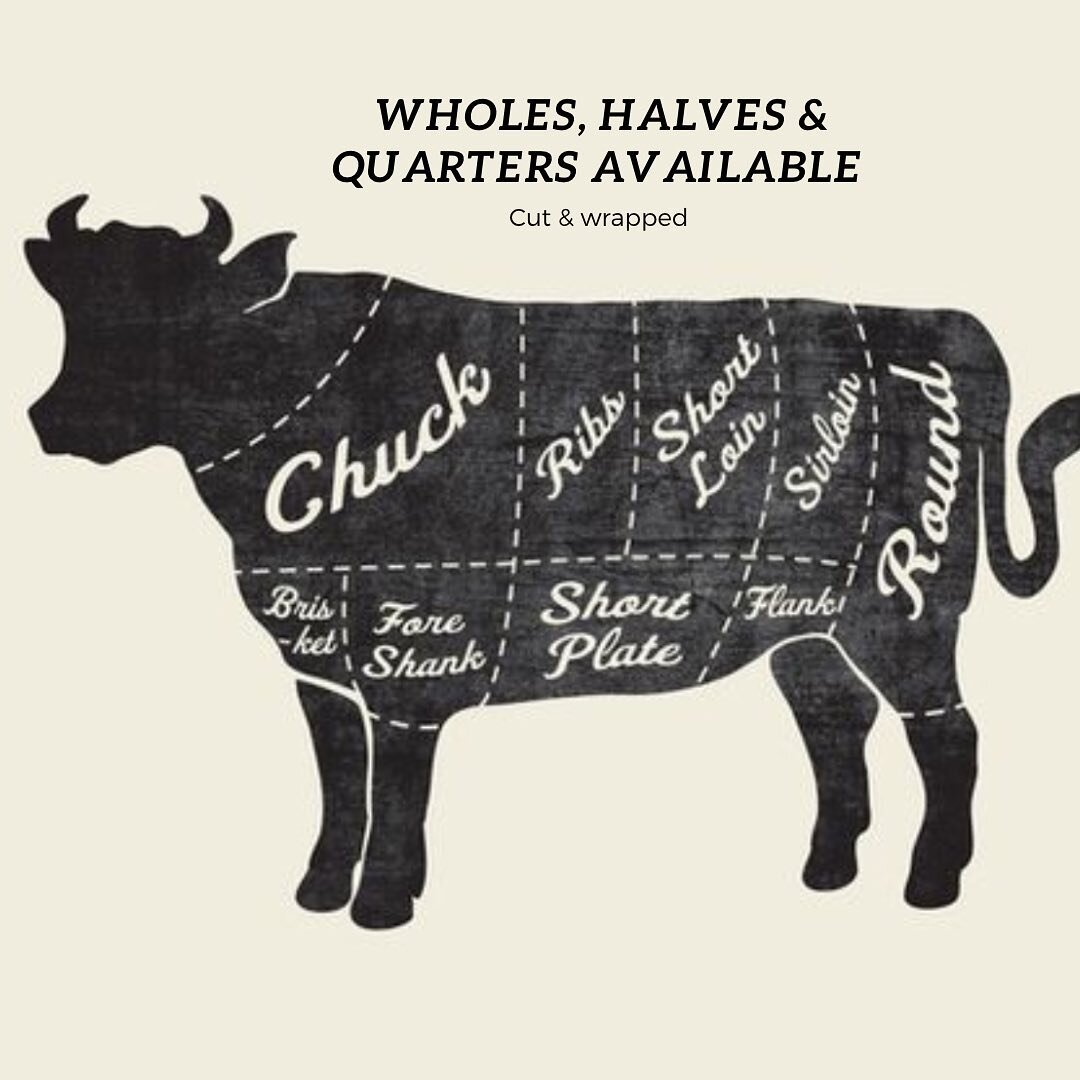 Beef available &amp; ready to fill your freezer 🥩🥩🥩

#montanaag #montanaagriculture #montanaranching #montana #justranchin #ranchin #406 #westernlifestyle #montanarancher #bestofmontanaag #paradisevalleymt #farmtotable #womeninag  #montanamoment #