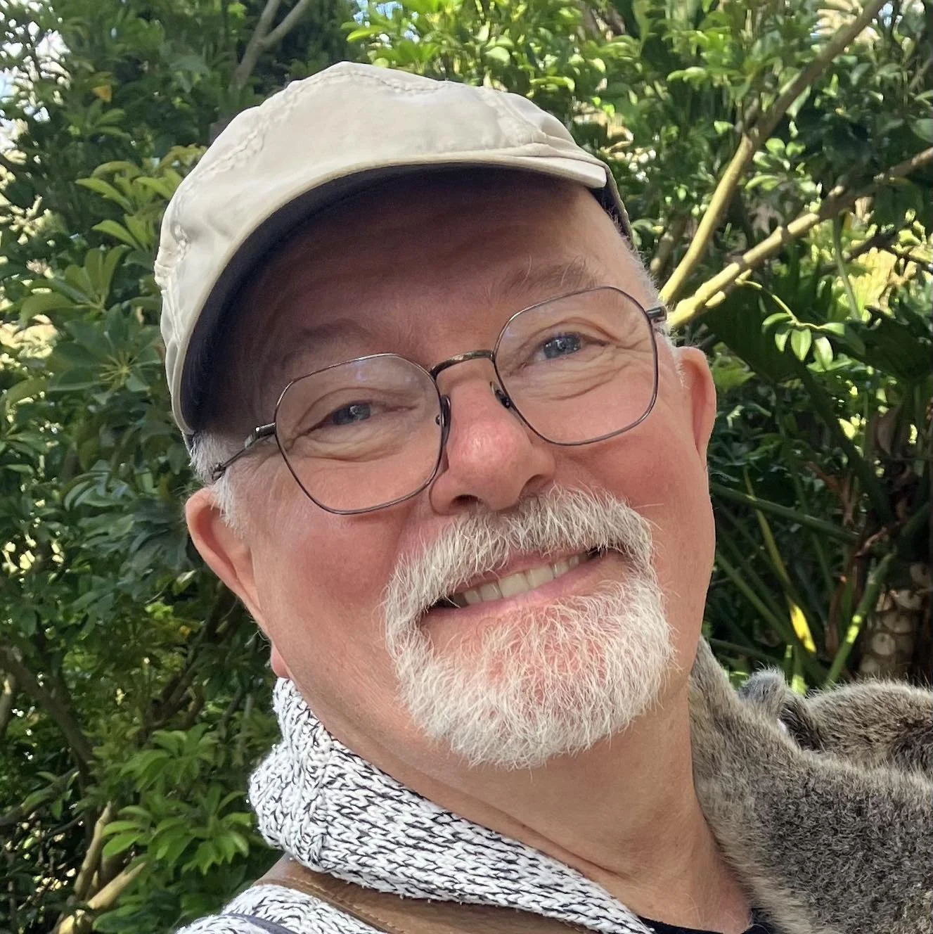 Spence with koala - Spence McCleave.jpg