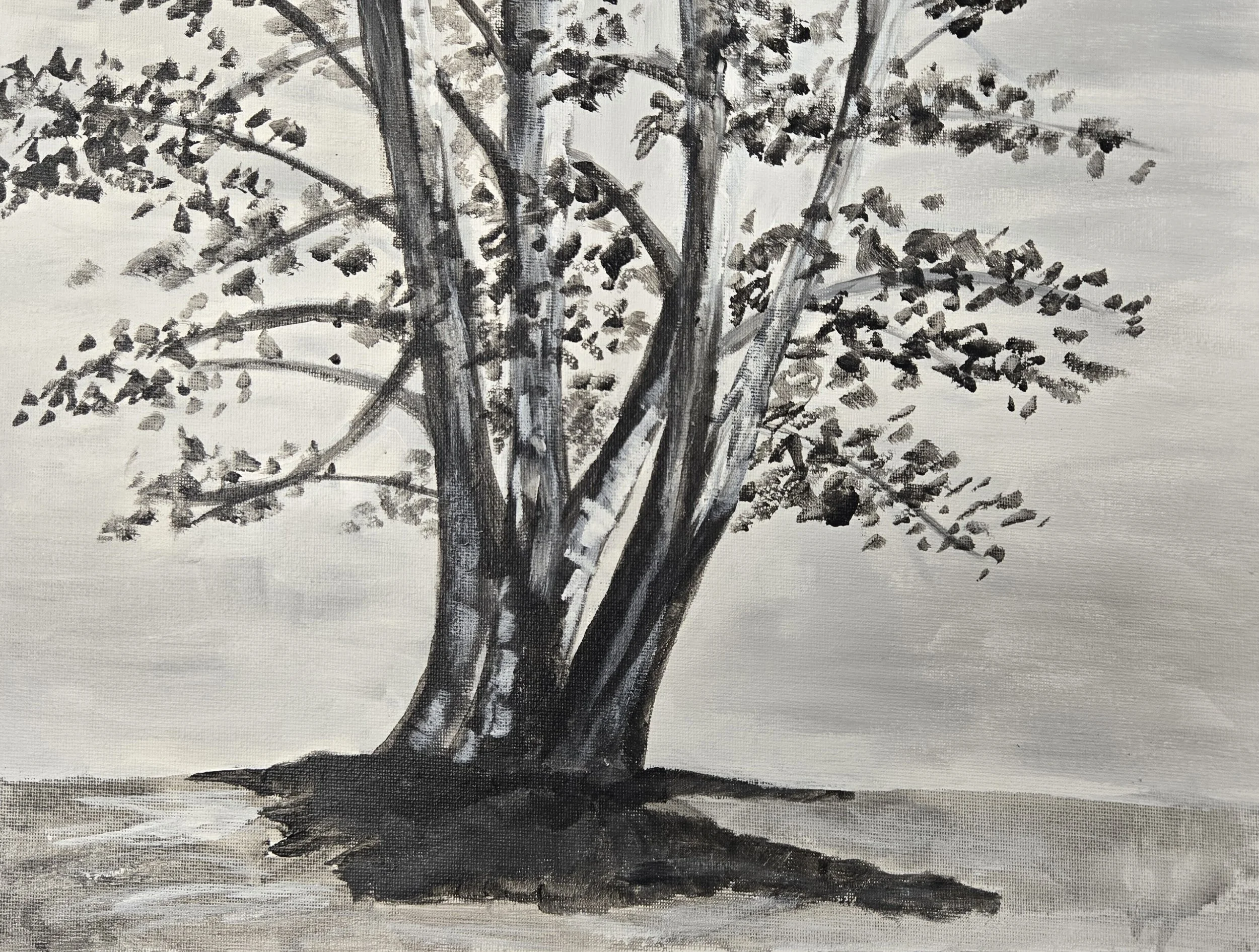 B+WTree2025 - Rheanna Maziarz.jpg