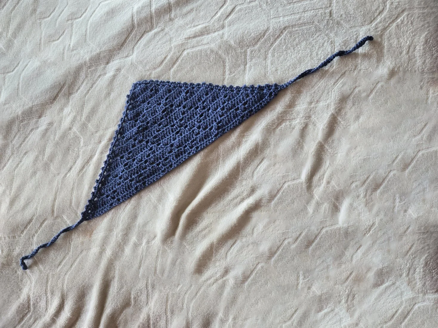 Blue_Whole6W - Rheanna Maziarz.jpg