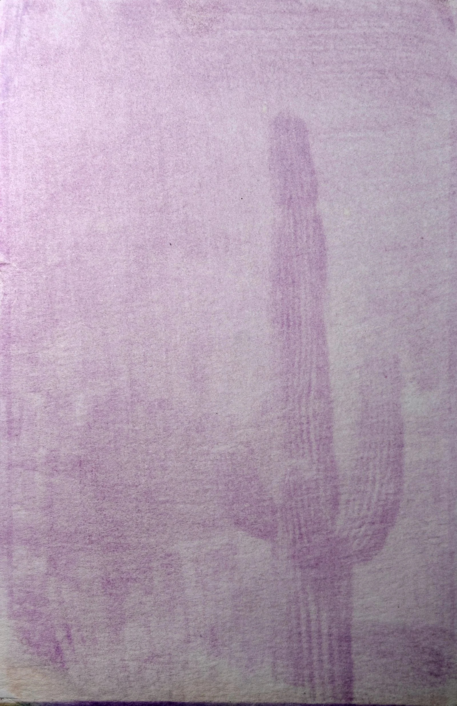 Saguaro - Dietlinde DuPlessis.jpg
