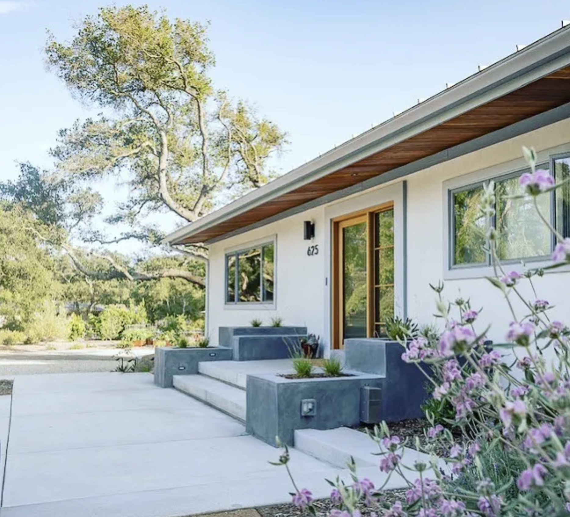 Modern house with white exterior walls and large windows, surrounded by landscaped garden with concrete steps and pink flowers.