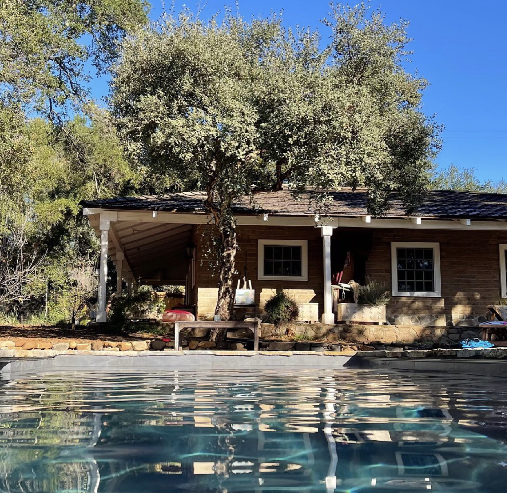 View of a backyard scene with a swimming pool in the foreground, a patio area with a large tree, and a house with a wooden exterior and white-framed windows in the background under a clear blue sky.