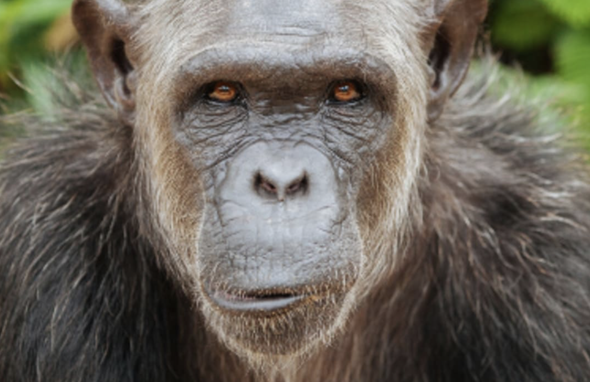 A cup of tea with Rachel (part 5)