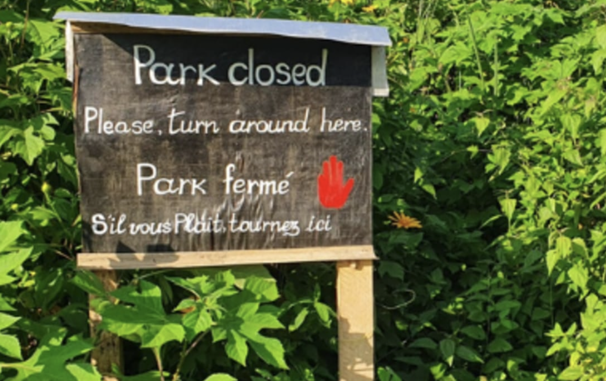 A cup of tea with Rachel (part 6)