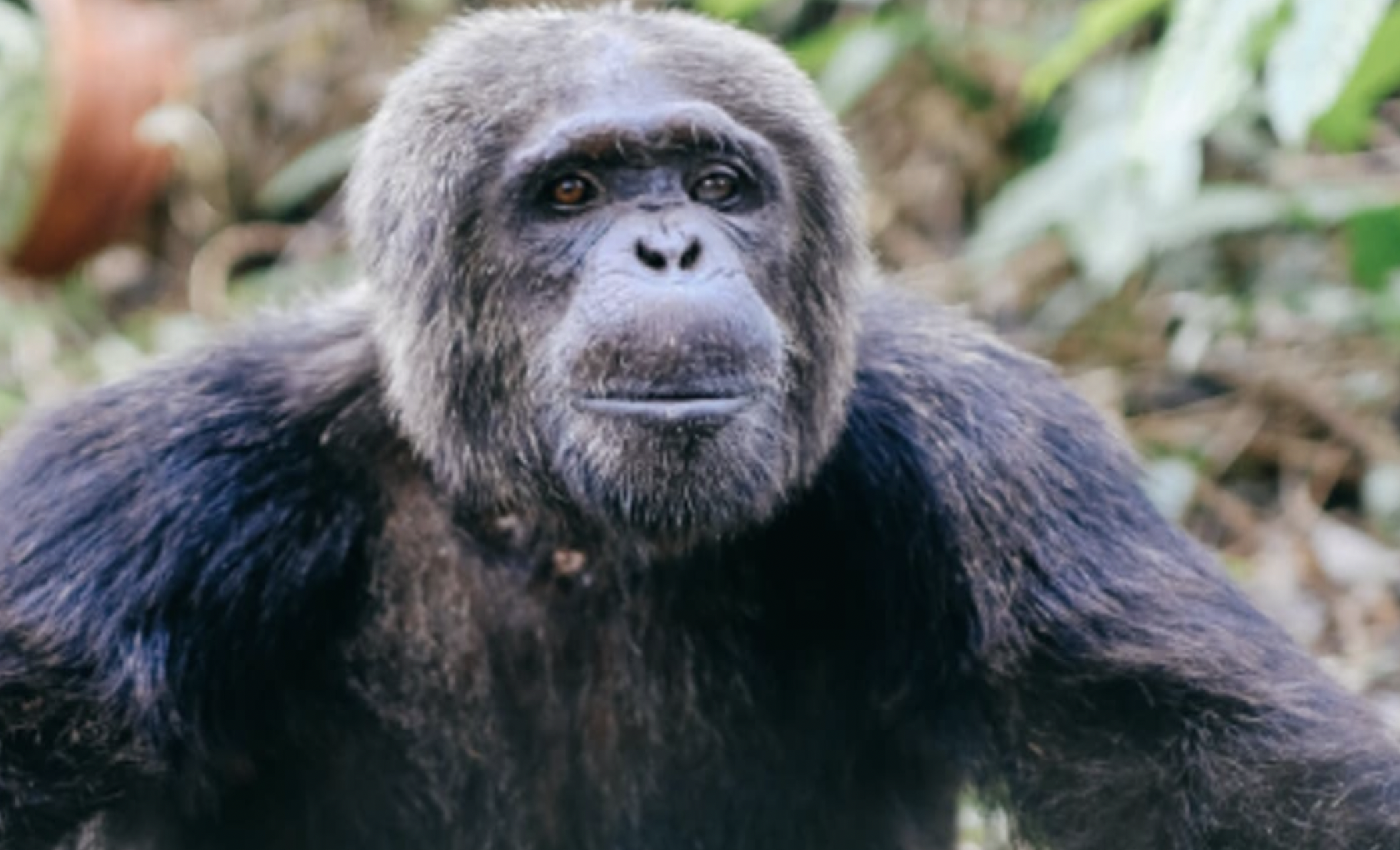 A cup of tea with Rachel (part 7)