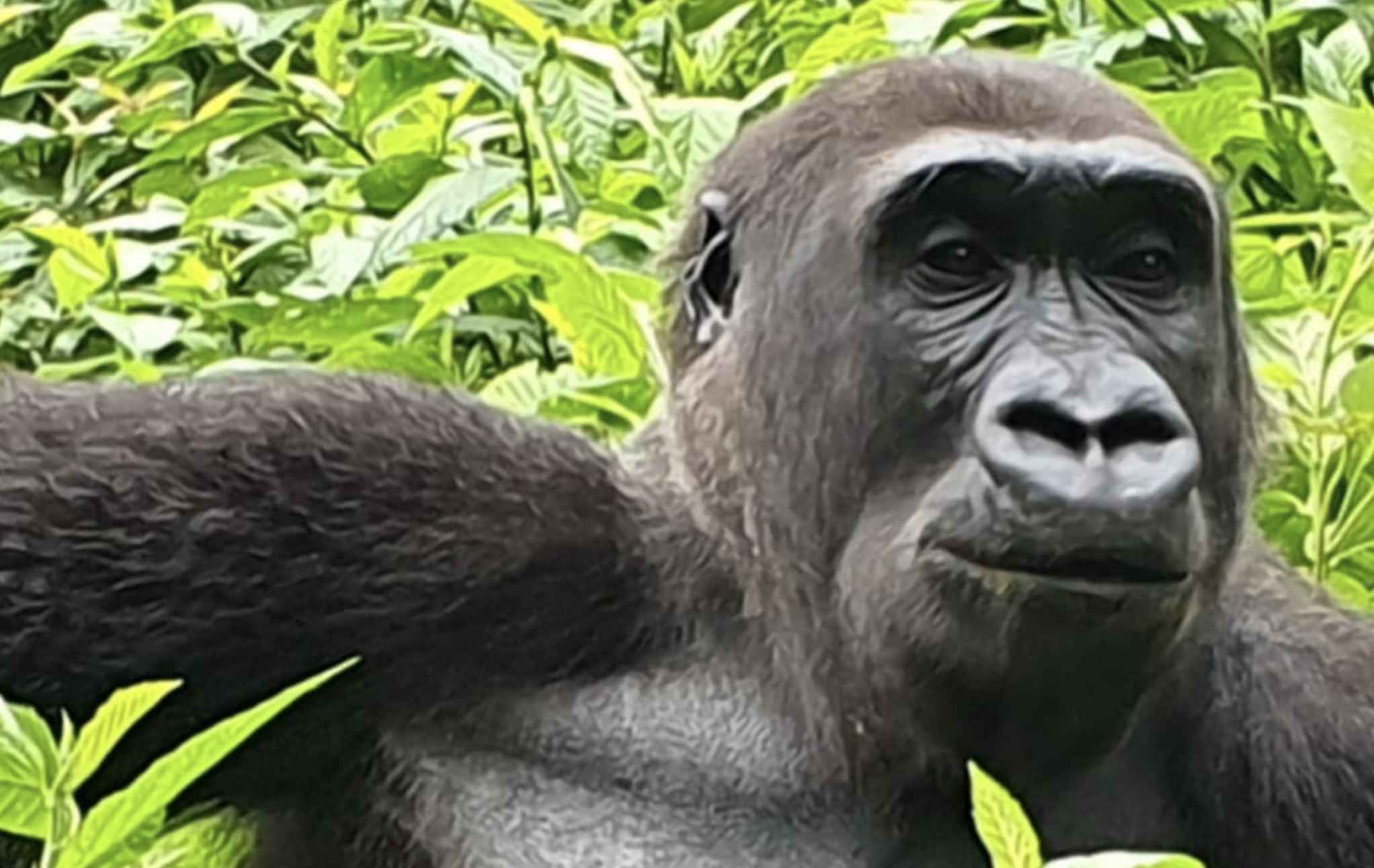 A cup of tea with Rachel (part 8)