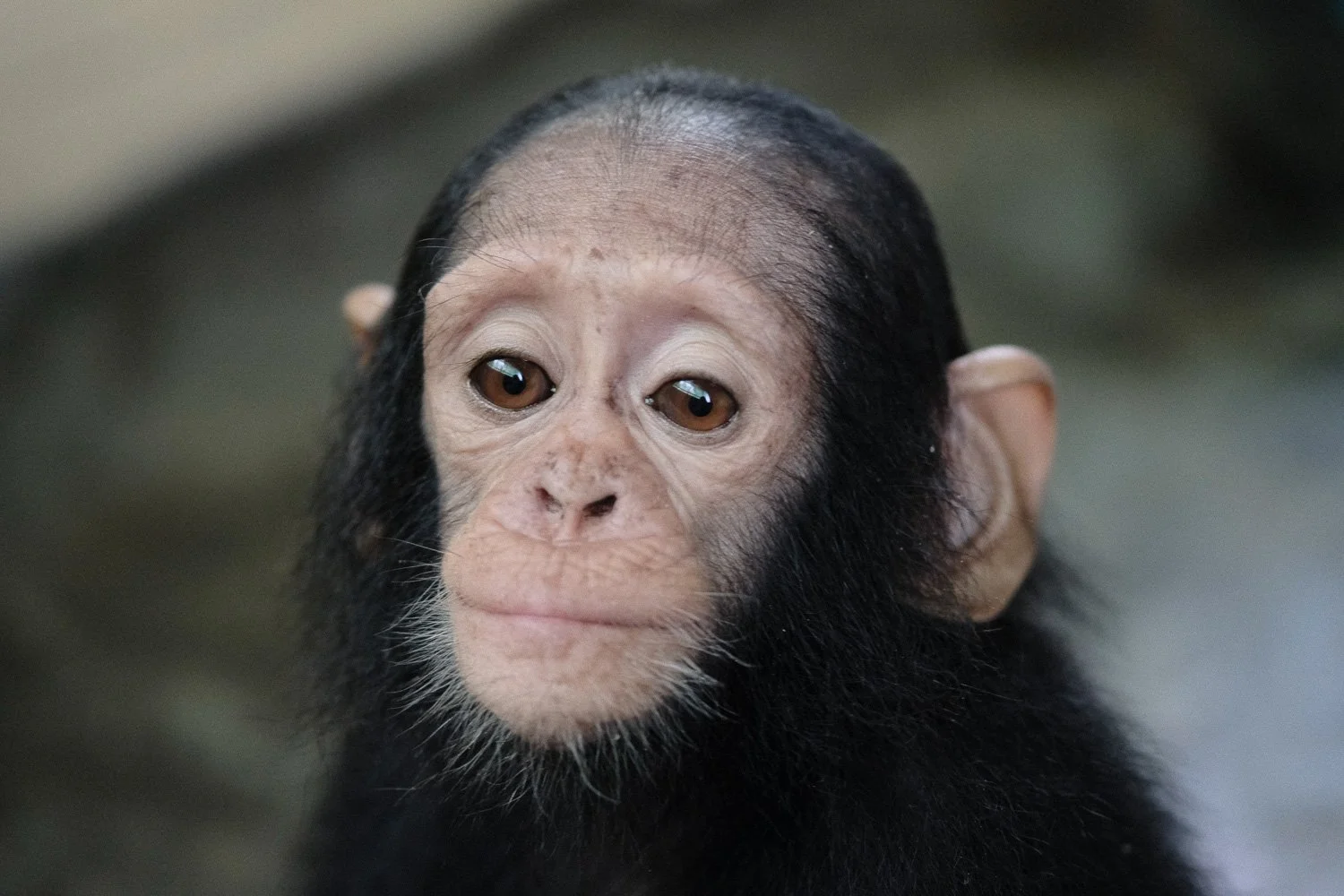 Farah's Story — How It All Began