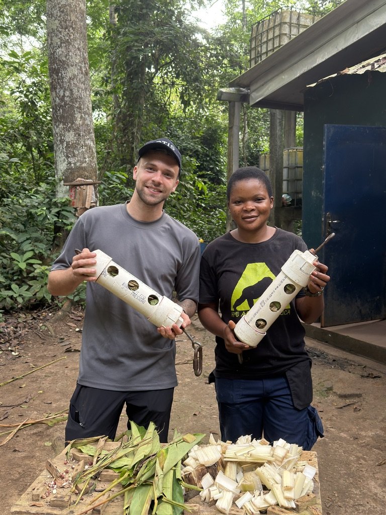 Building a Better Future for Our Primates, One Enrichment Plan at a Time