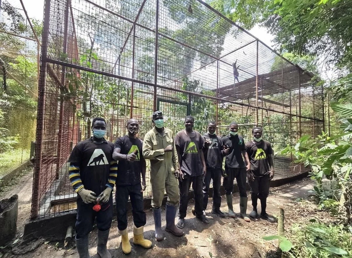 Sanctuary team standing in front of the completed guenon monkey enclosure at Ape Action Africa in Cameroon