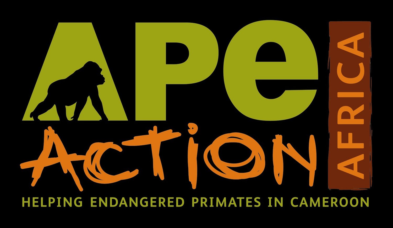 Ape Action Africa