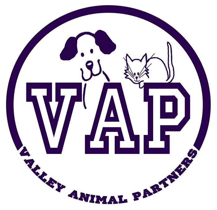 elfbar elfa master akku Volunteer with the Victim Advocate Program (VAP)