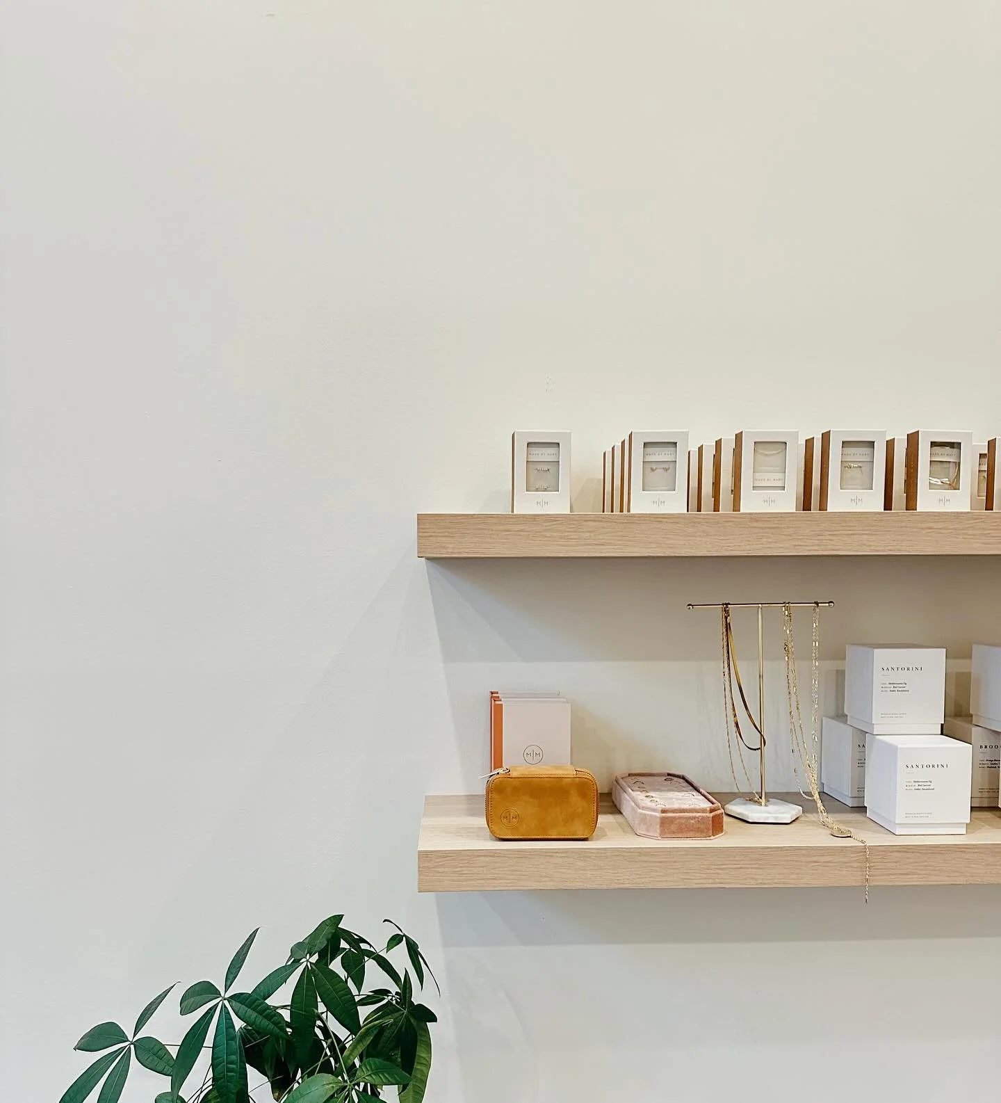 Welcome to Lovely Studios in downtown Tacoma, WA 🫶