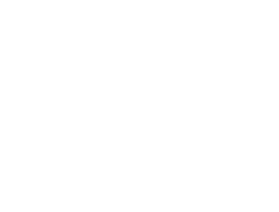 NOIR GRIME.