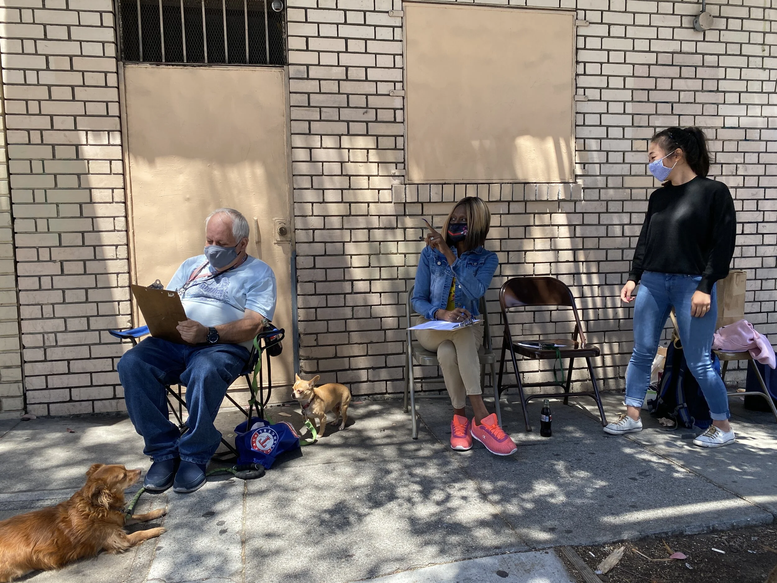 Community Counts! And so does traffic...🚗