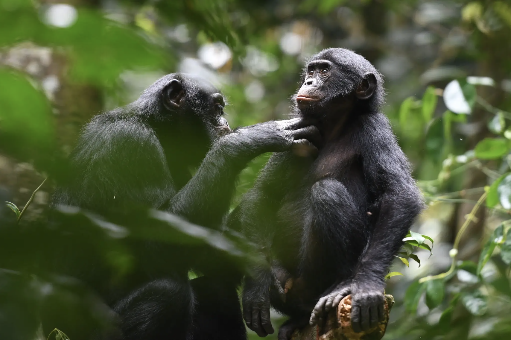 Screenshot 2024-02-07 at 11.52.13 AM.png