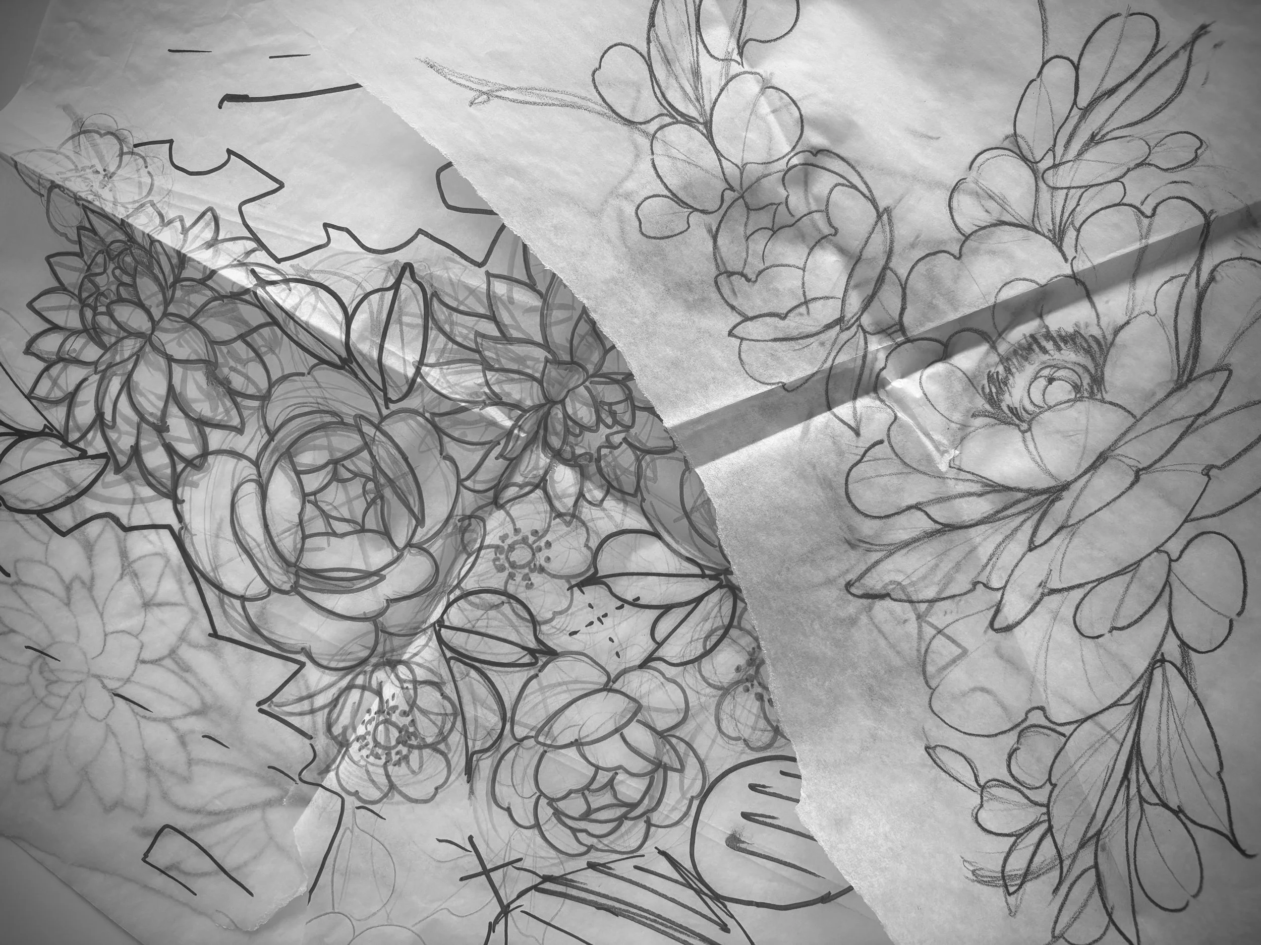 Sketches of floral designs and a crown on crumpled paper.