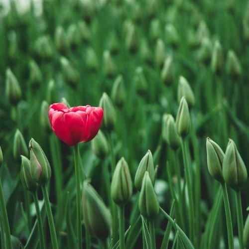 From Visibility to Influence: How Strategic PR Fuels Sustainable Business Growth