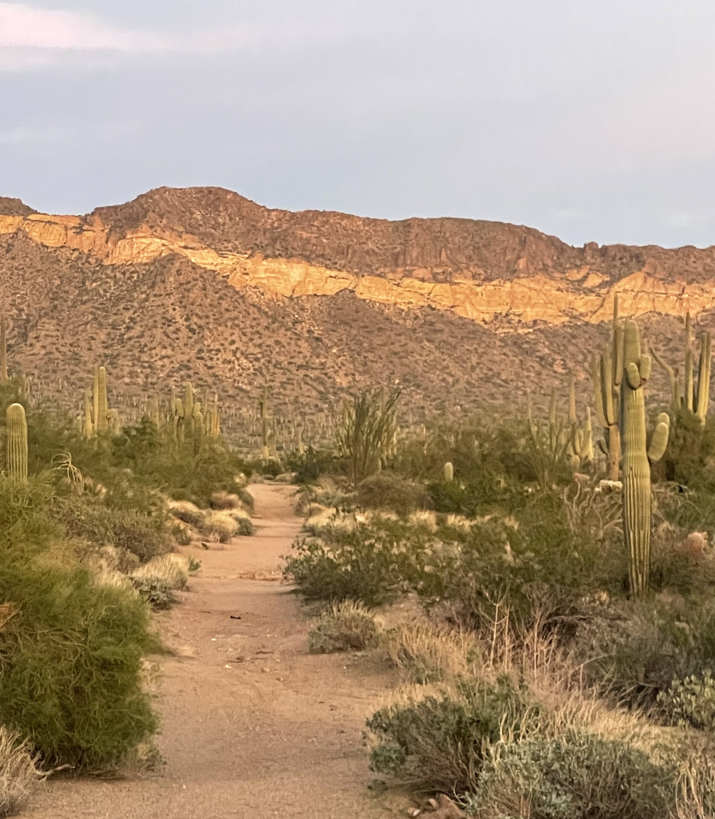 From Me to We: The Leadership Mindset