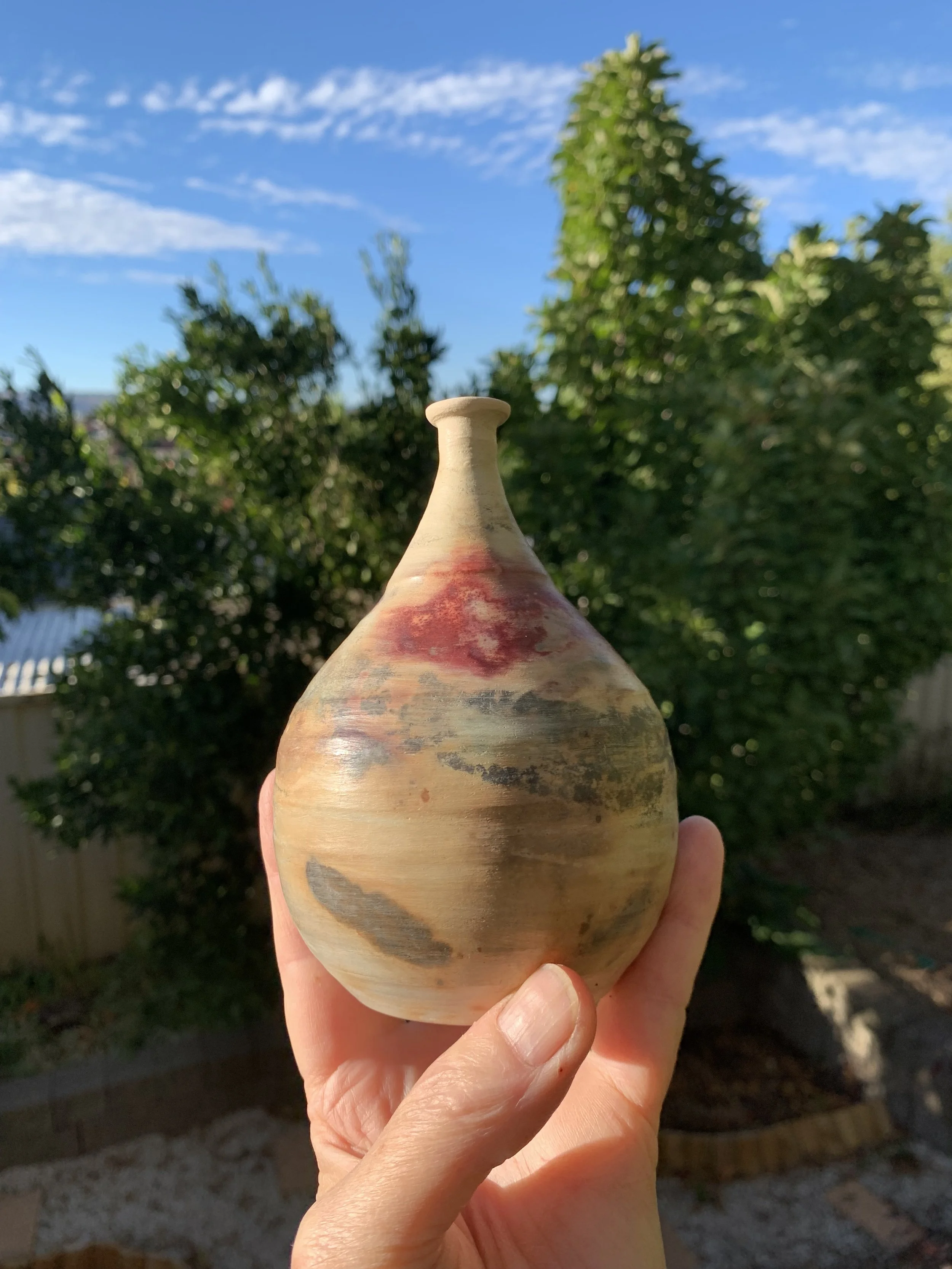 Washed and absorbing the morning sun