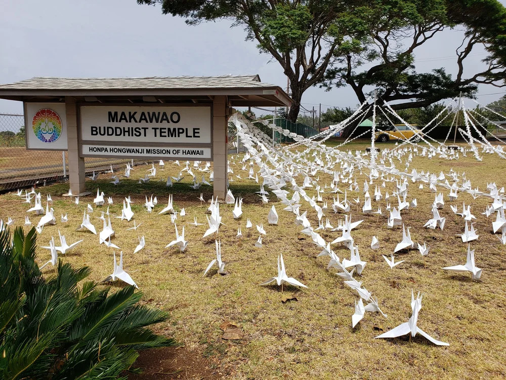 Peace Cranes Makawao-Style