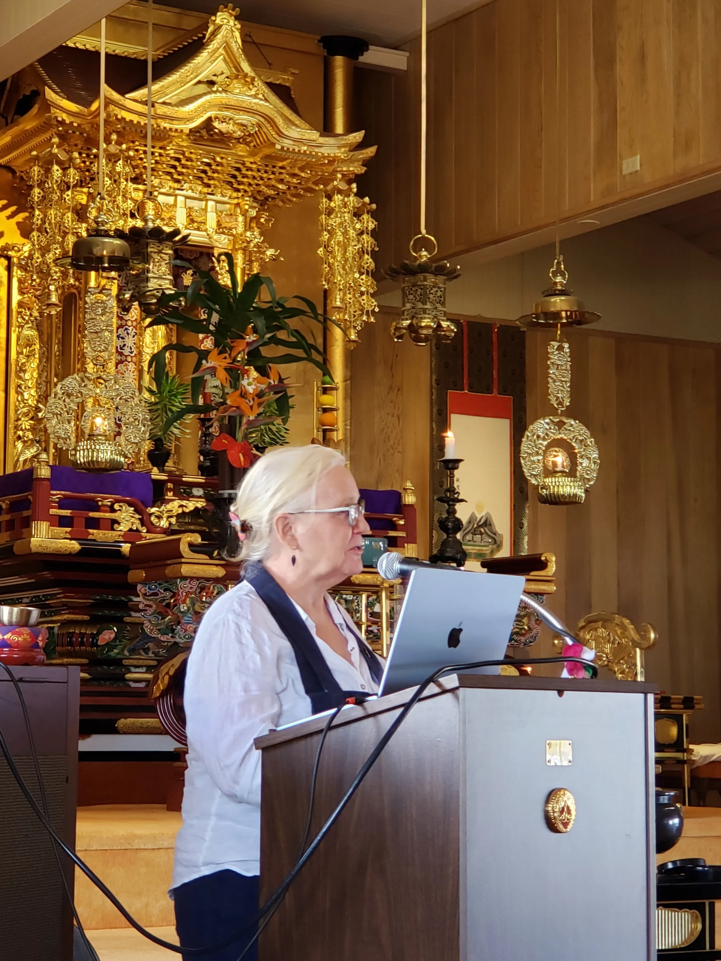 Mary Schjeldhal, Mindfulness Meditation
