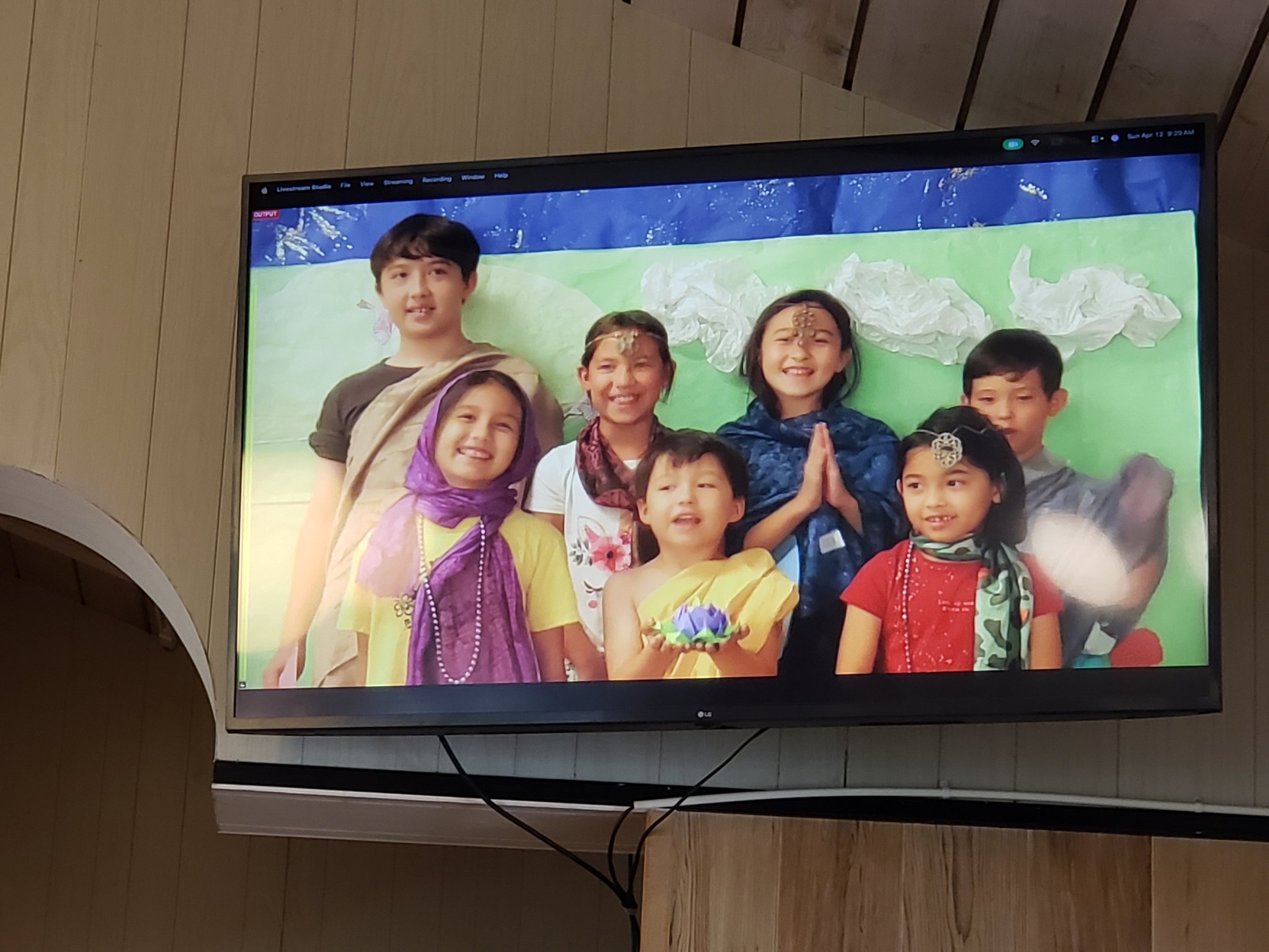 Driver's License Anyone??