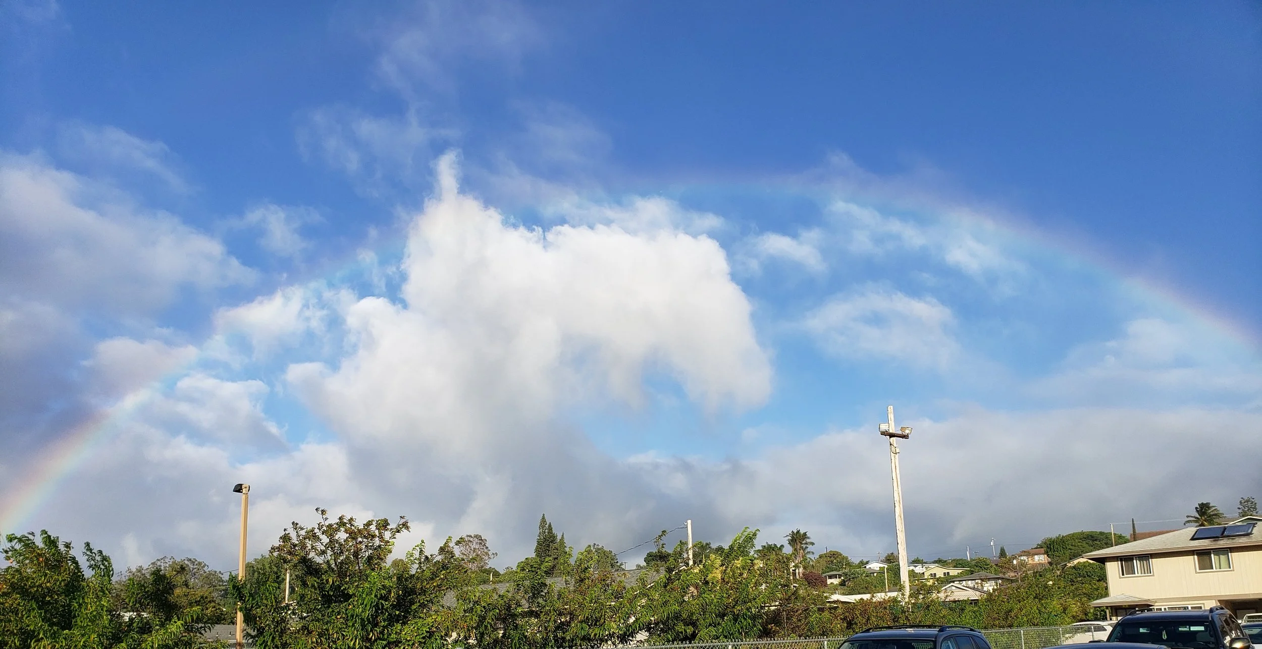 Saturday's Rainbow