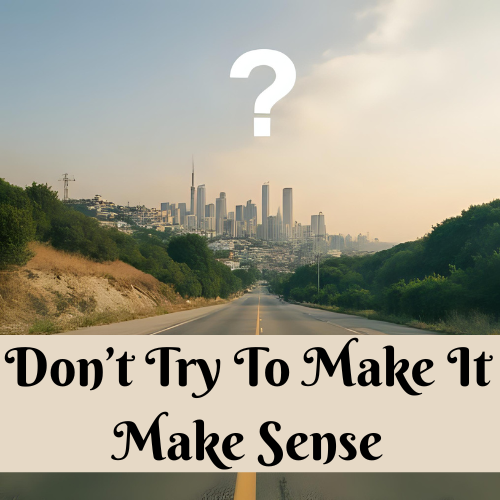 Don’t Try To Make It Make Sense