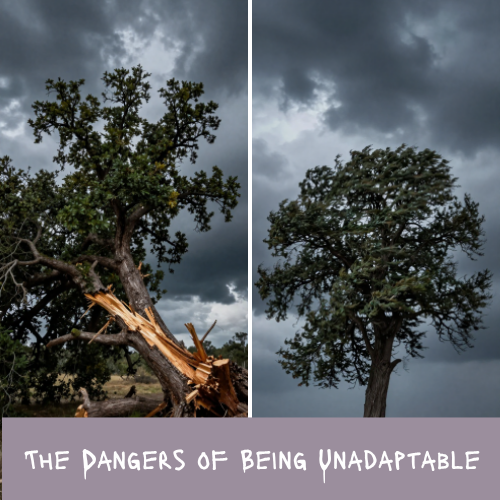 The Dangers of Being Unadaptable