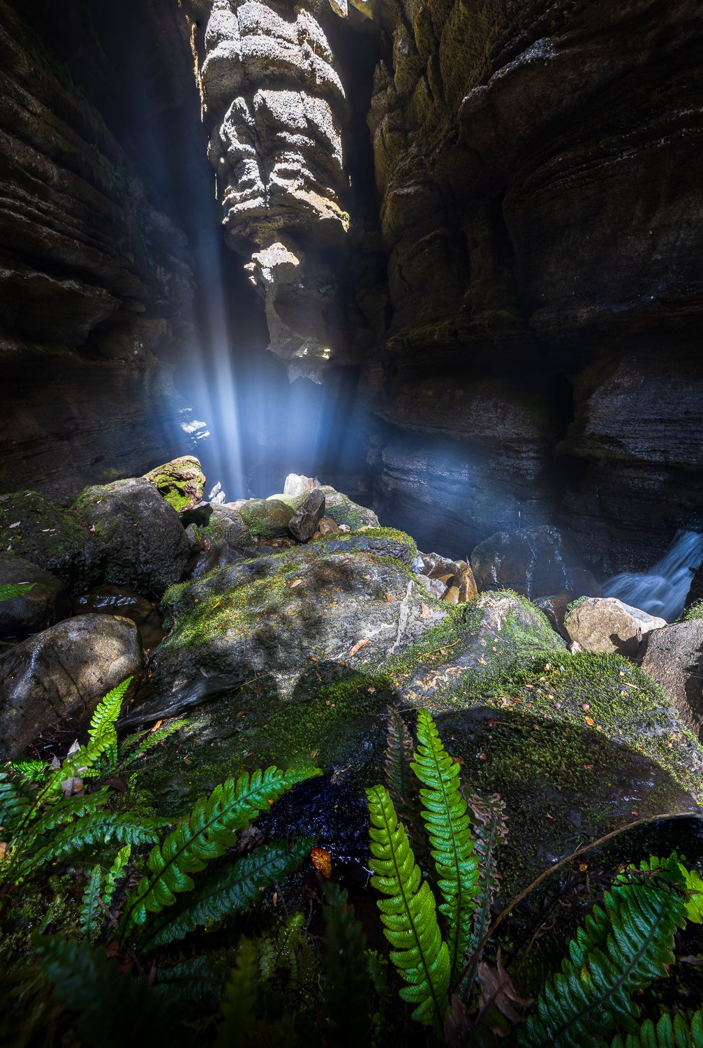 1X1A5468-Edit-2.jpg