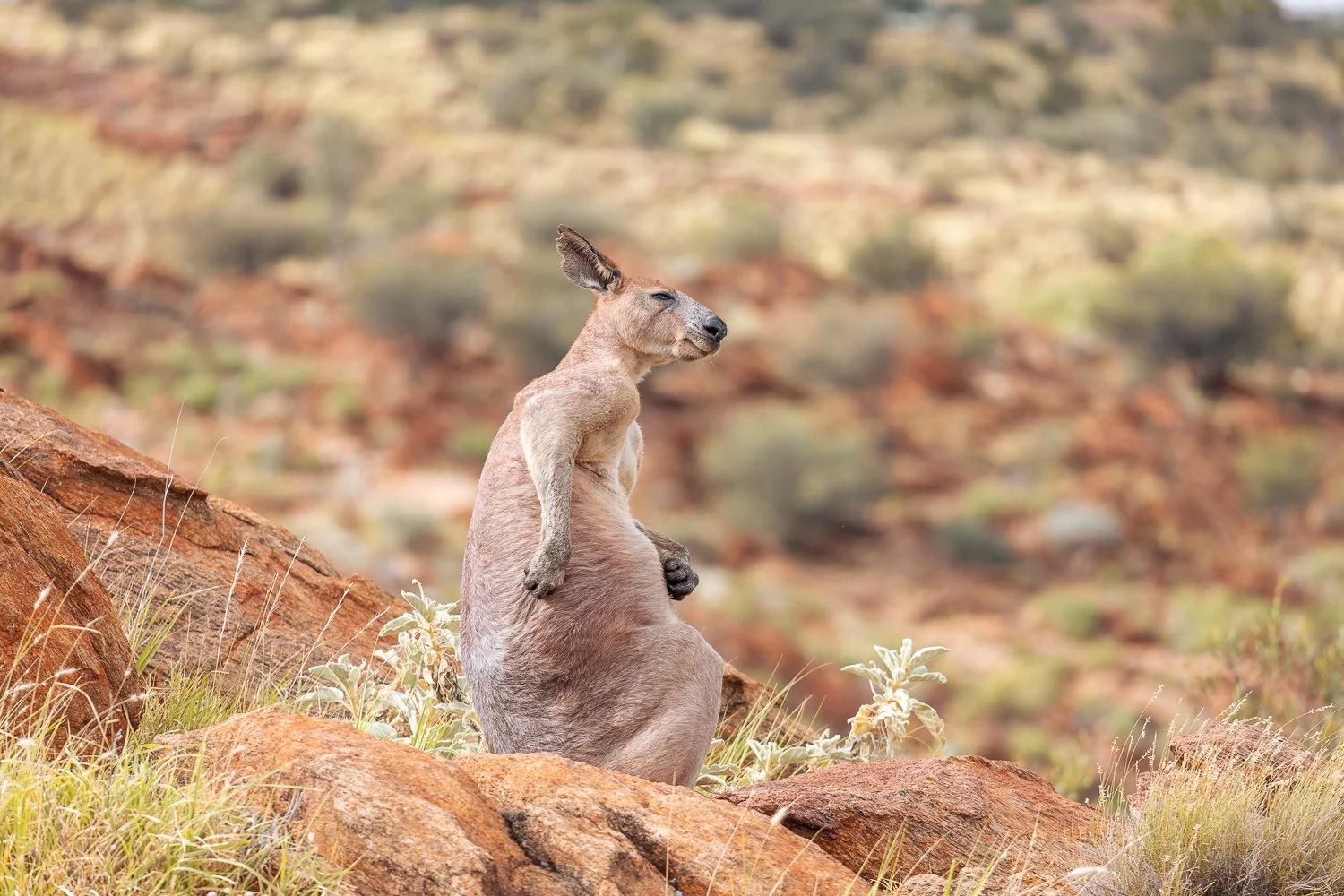 Simple Pleasures - SS.jpg