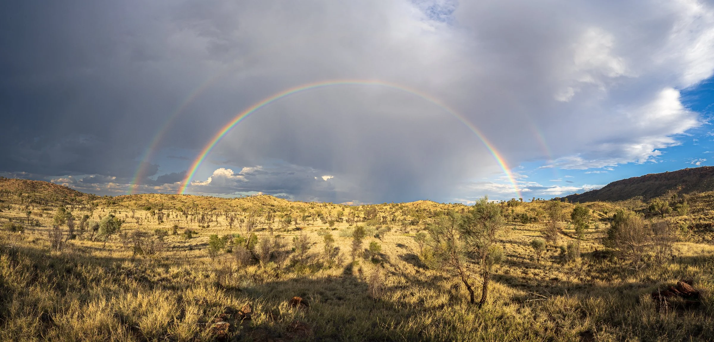 Over the Rainbow - SS.jpg