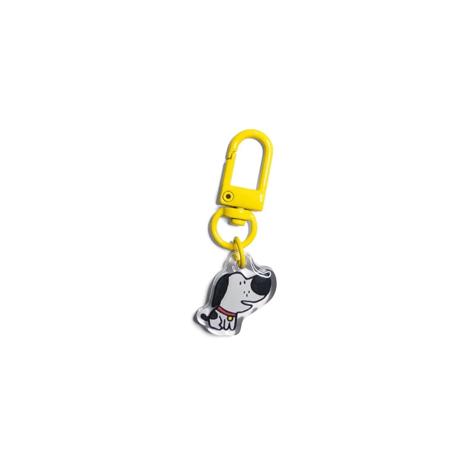 ppgdogphoto.jpg