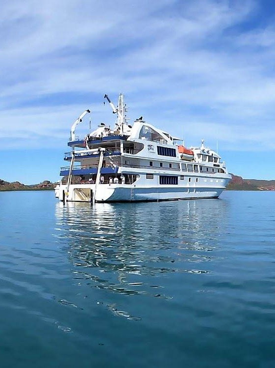 10 DAY CRUISES
