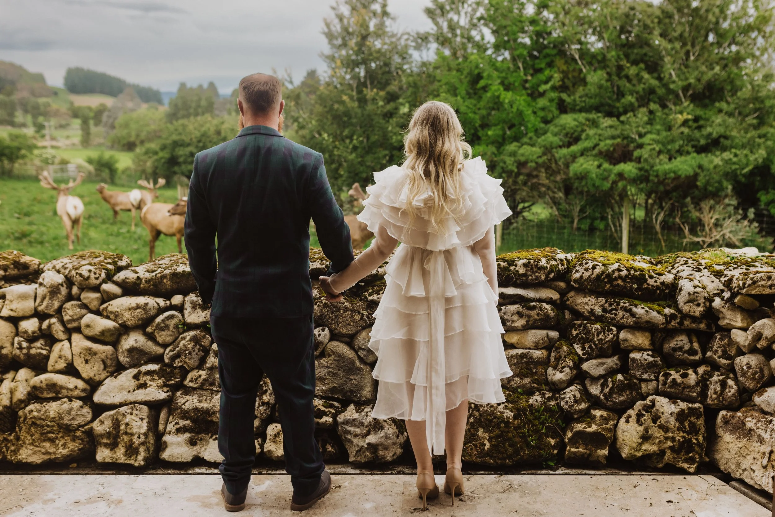 A man and woman in formal attire holding hands and looking at deer in a lush green outdoor setting.