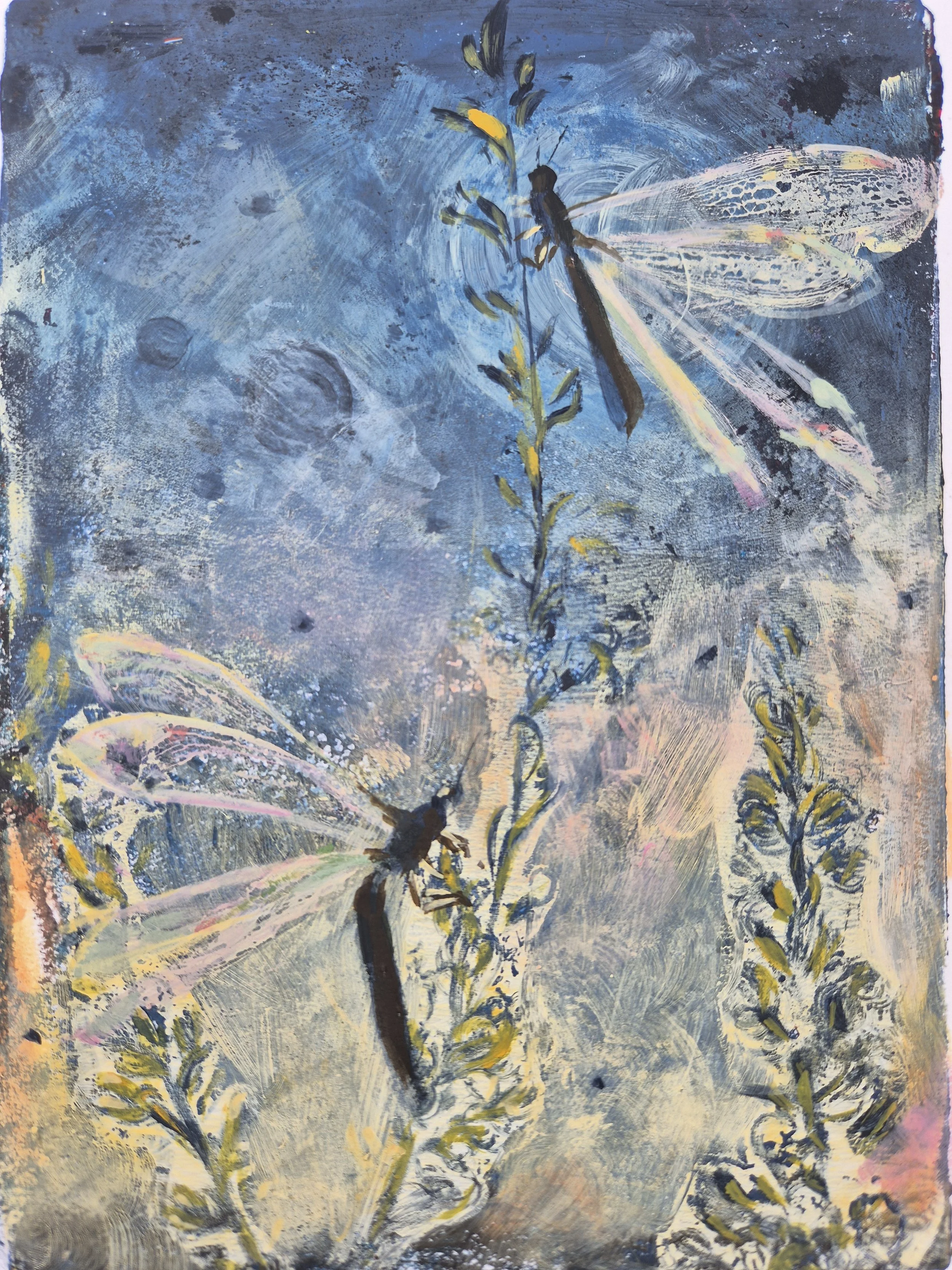 Dragonfly gelli plate monotype
