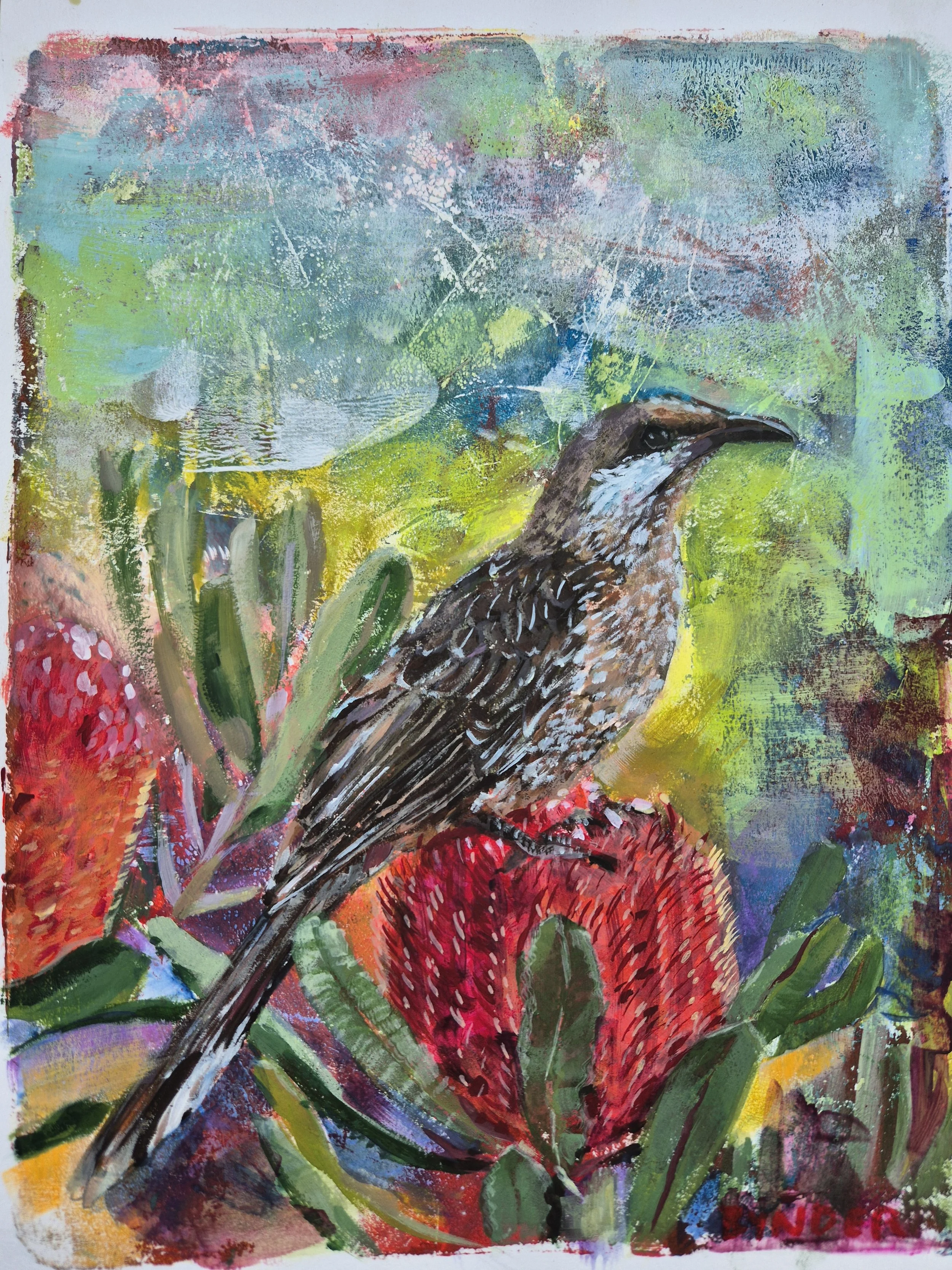 wattlebird gelliplate print