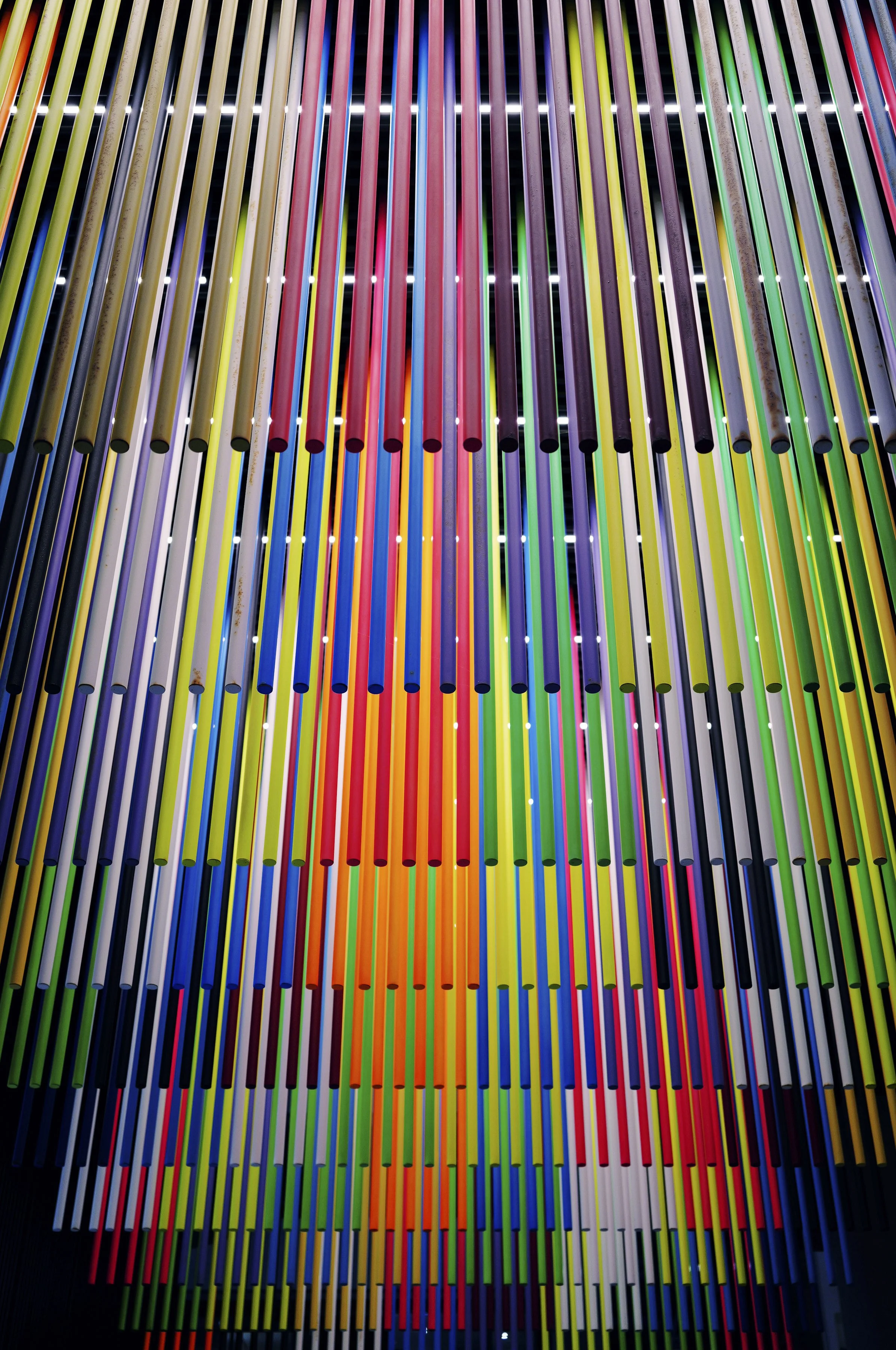 North Sydney_270126-8.jpg